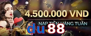 du88